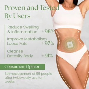 Ceoerty™ DetoxPro Herbal Slimming Patch