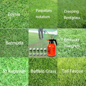 Green Grass & Pest Control Lawn Spray