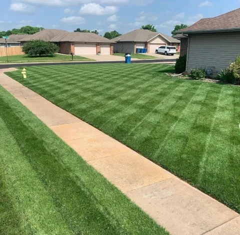 Green Grass & Pest Control Lawn Spray