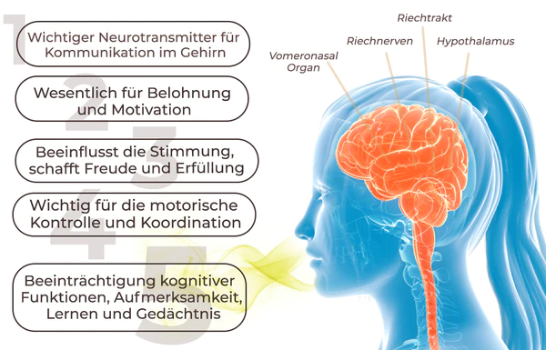 flysmus™ VSA-Dopamin Parfüm