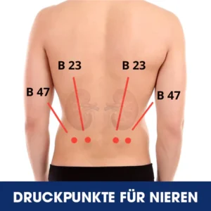 AEXZR™ Akupressur Nierenpflege-Gürtel