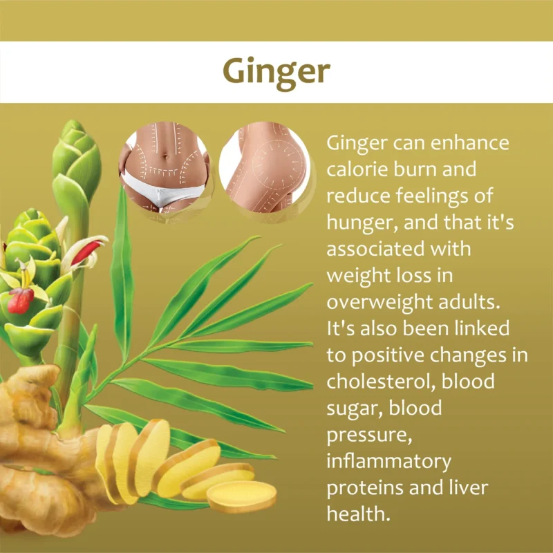 ATTDX Ginger LymphDetoxify RollOn