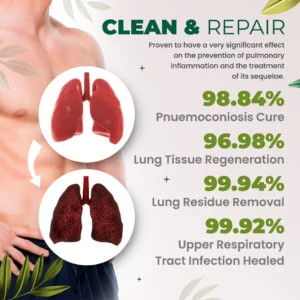 Organic Herbal Lung Cleanse Repair Patch