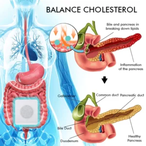 Oveallgo™ Hyperlipidemia Cholesterol Balancing Belly Patch