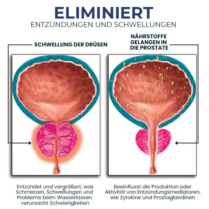 Fivfivgo™ ProstaBoost Behandlungs-Tropfen