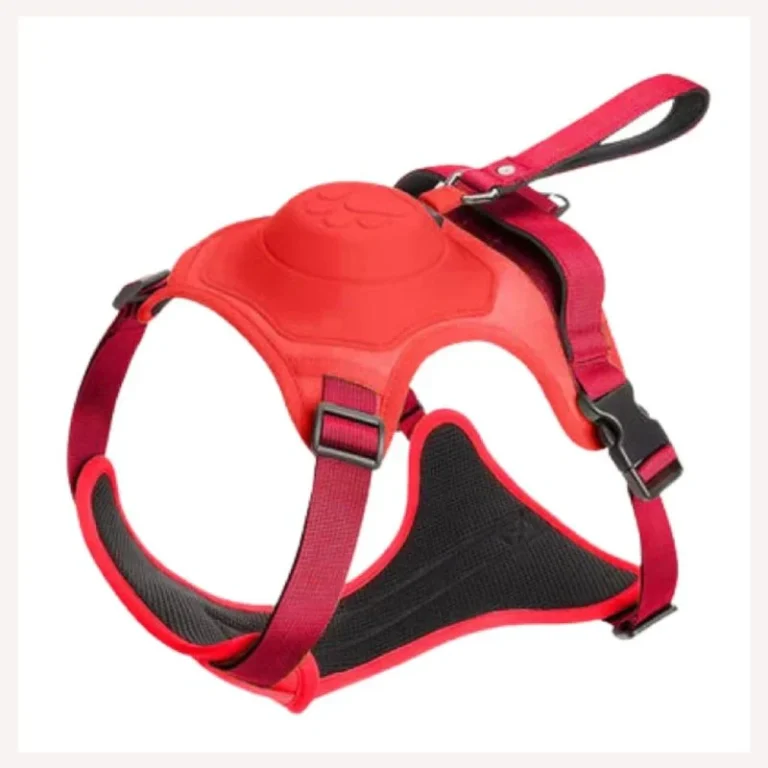 Pawsease™ Dog Harness with Integrated Retractable Lead - Image 10