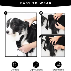 Pawsease™ Dog Harness with Integrated Retractable Lead