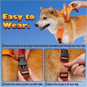 Pawsease™ Dog Harness with Integrated Retractable Lead