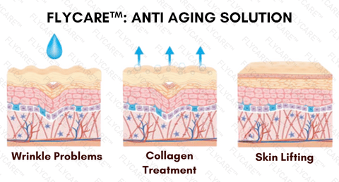 FLYCARE™ Korean Anti-Aging Stick