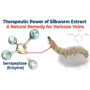 GFOUK™ VaricoX Vein Dredge Silkworm Extract Spray