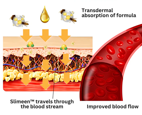 Slimeen™ Bee Venom Lymphatic Slimming Oil