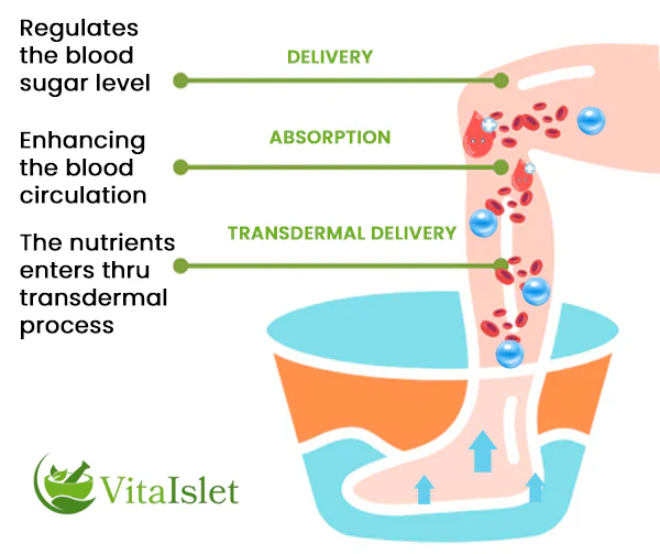 VitaIslet™ Sugar Control Foot Soak
