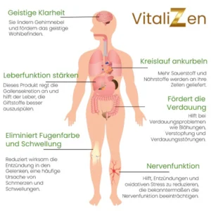 VitaliZen™ Detox Fußpflaster