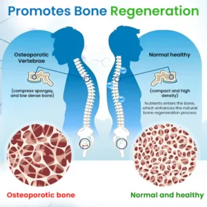 AEXZR™ Bone Regeneration Essence