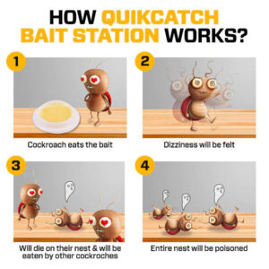 AQA™ QuikCatch RoachAce Bait Station