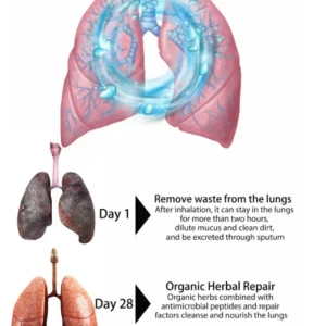 BBOJI™ Organic Herbal Lung Cleanse Repair Nasal Spray