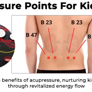 Fivfivgo™ Acupressure Kidney Care Belt