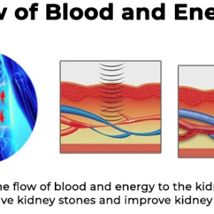 Fivfivgo™ Acupressure Kidney Care Belt