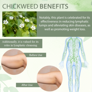 ATTDX™ Wild Chickweed Herbal Balm