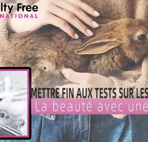 STDEI™ Crème Raffermissante au Collagène de Luxe