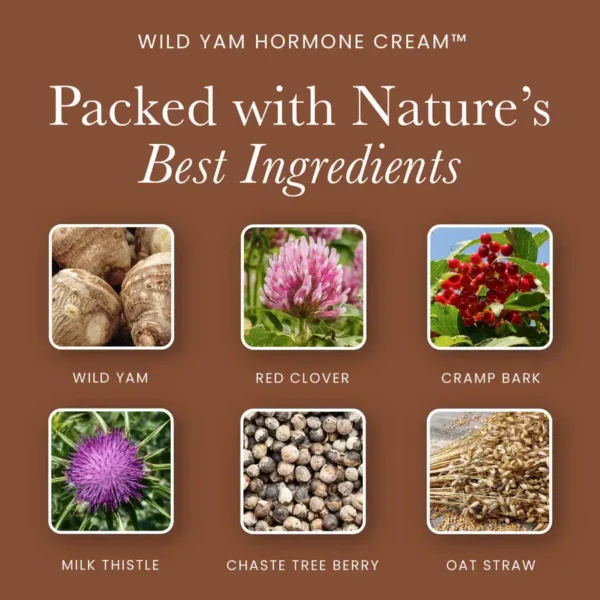 Holistic Health Wild Yam Hormone Cream - Image 6