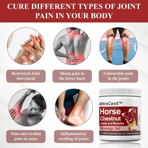 ArthroCareX™ Horse Chestnut Joints and Muscles Massage Gel - Image 8