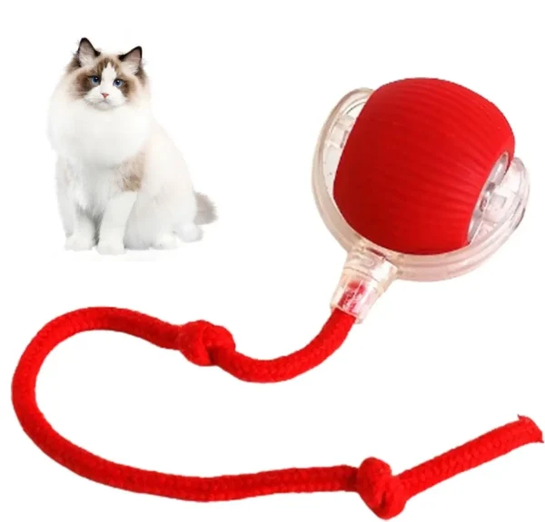 RolliePet smart chase pet toy ball - Image 2