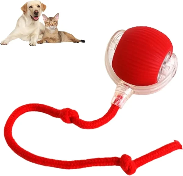 RolliePet smart chase pet toy ball - Image 3