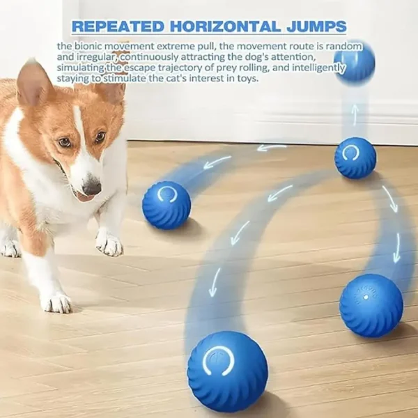 Smart jumping ball-Dog toys teeth grinding, chewing resistance, boredom relief - Image 2