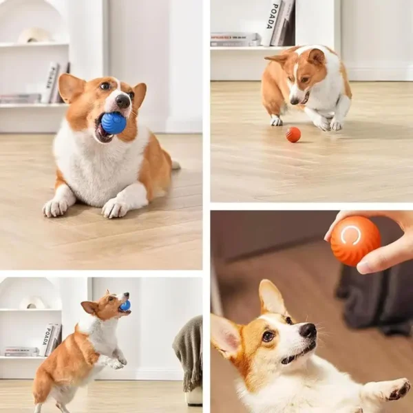 Winter Sale Smart Jumping Ball-Dog Toys - Image 6